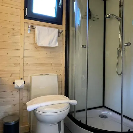 The Alpine Experience By Tiny Away Holiday home