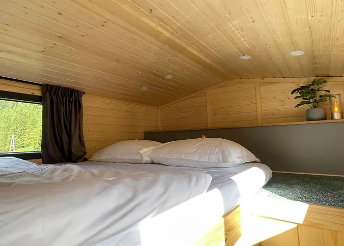 The Alpine Experience By Tiny Away